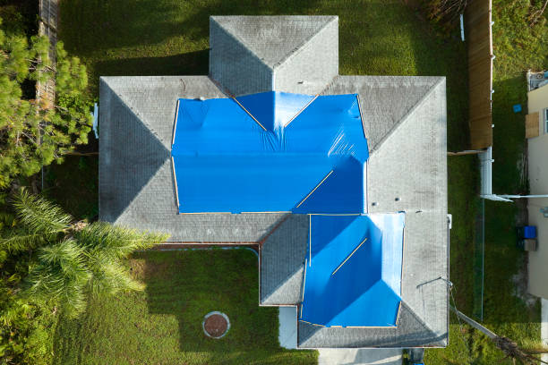Best Solar Panel Roofing Installation  in Taft, TX