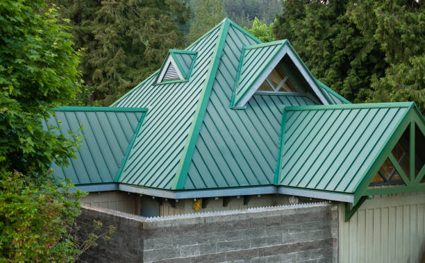 Best Asphalt Shingle Roofing  in Taft, TX