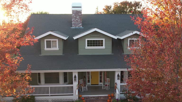Best Skylight Installation and Repair  in Taft, TX
