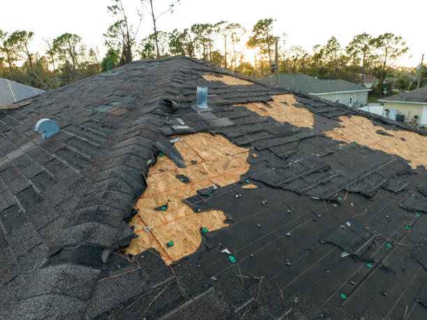 Roof Insulation in Taft, TX