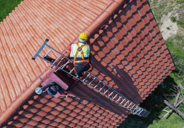 Best Asphalt Shingles Roofing  in Taft, TX